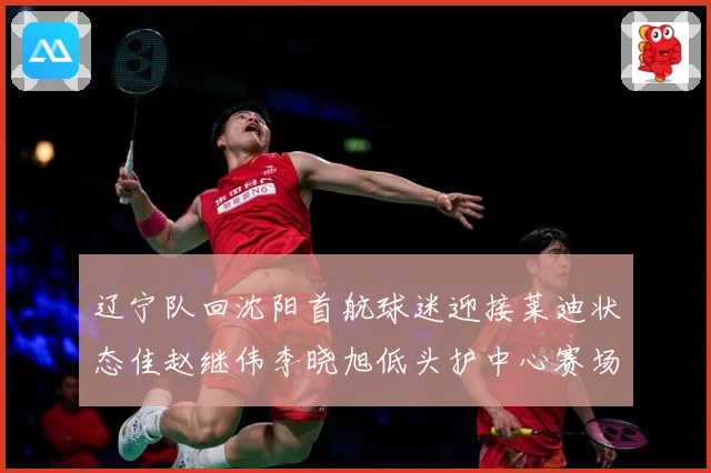 辽宁队回沈阳首航球迷迎接莱迪状态佳赵继伟李晓旭低头护中心赛场复盘-深度解析