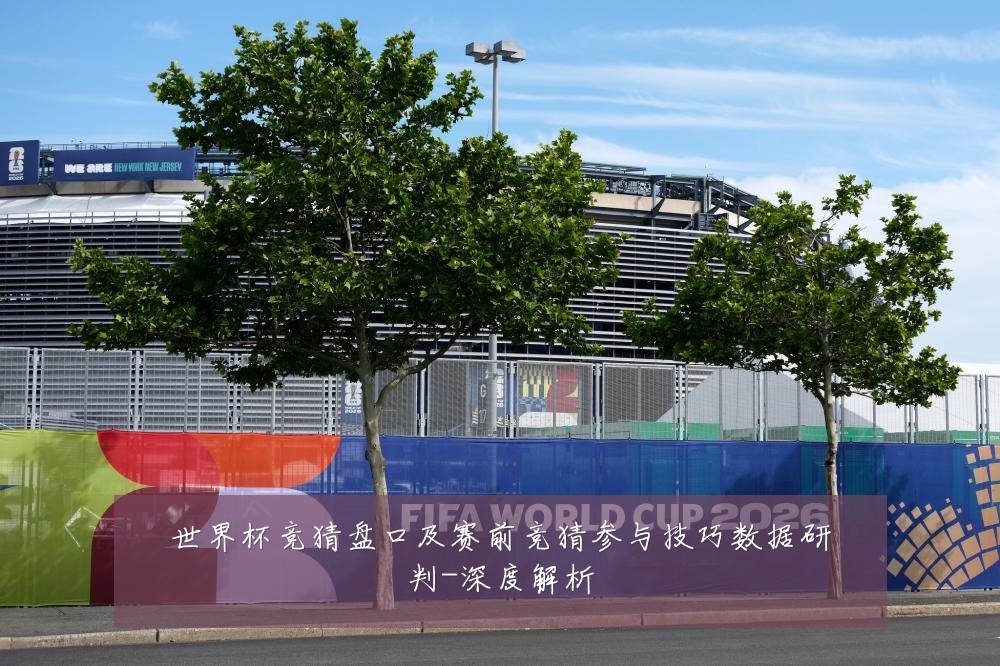 世界杯竞猜盘口及赛前竞猜参与技巧数据研判-深度解析
